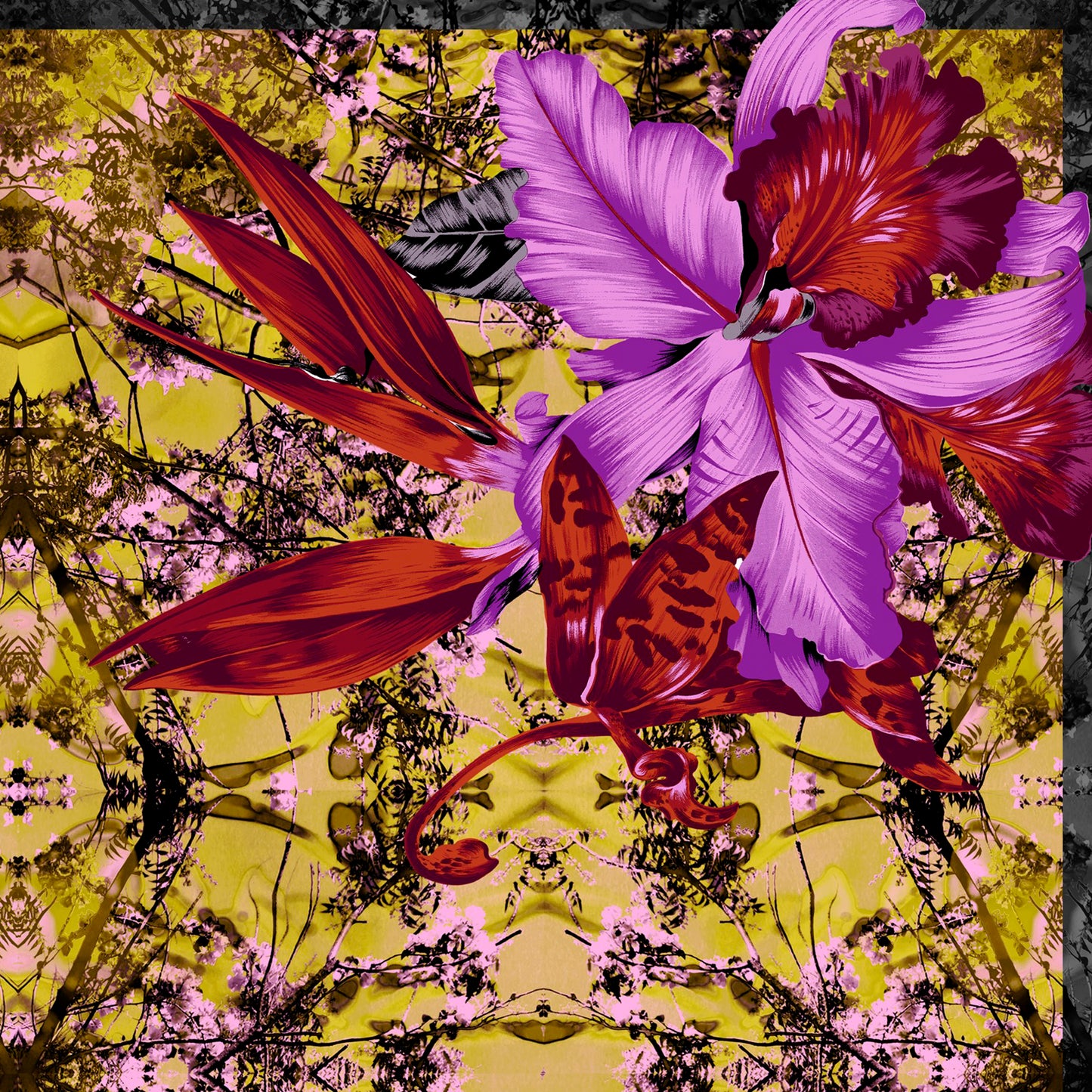 Orchidée