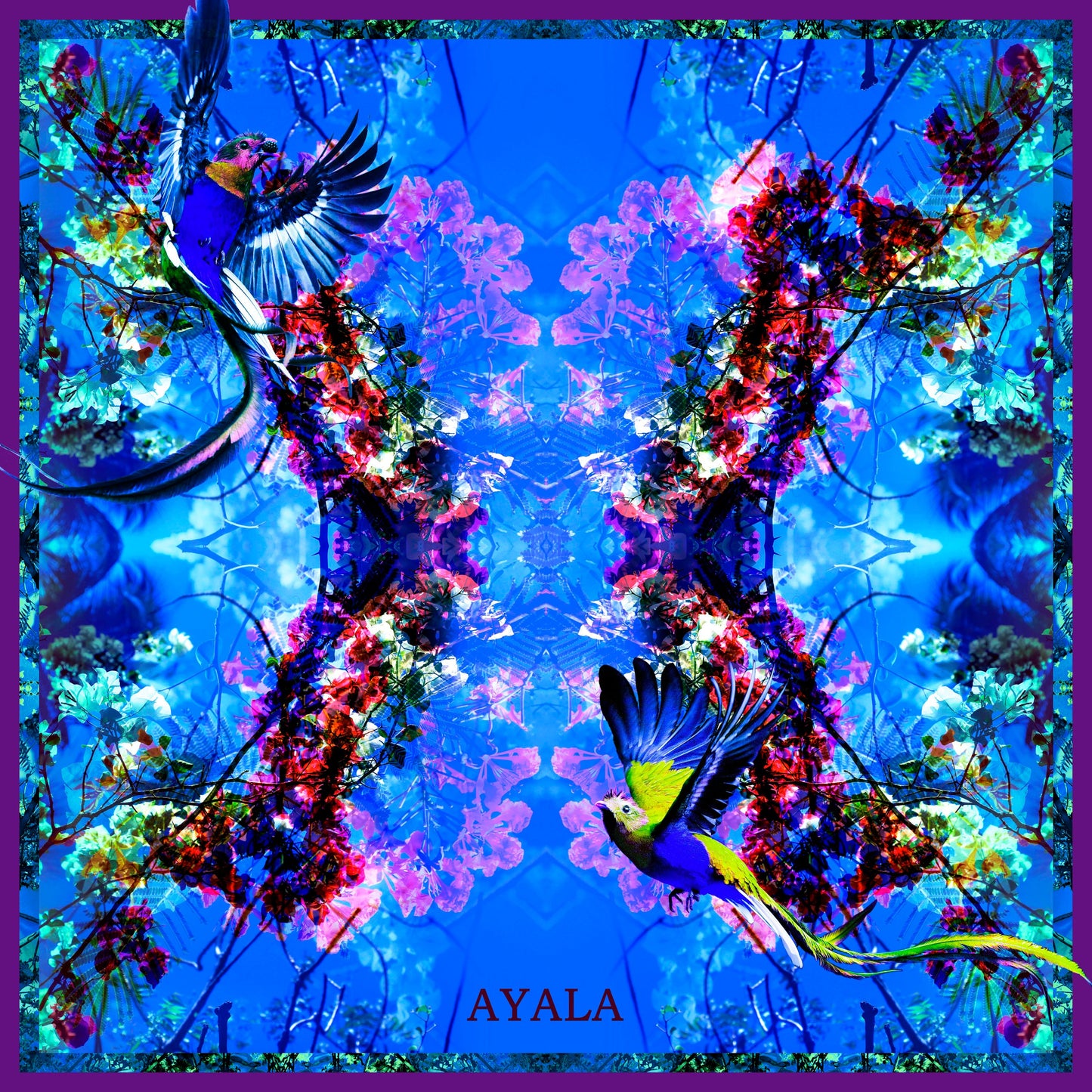 Bugambilia Azul