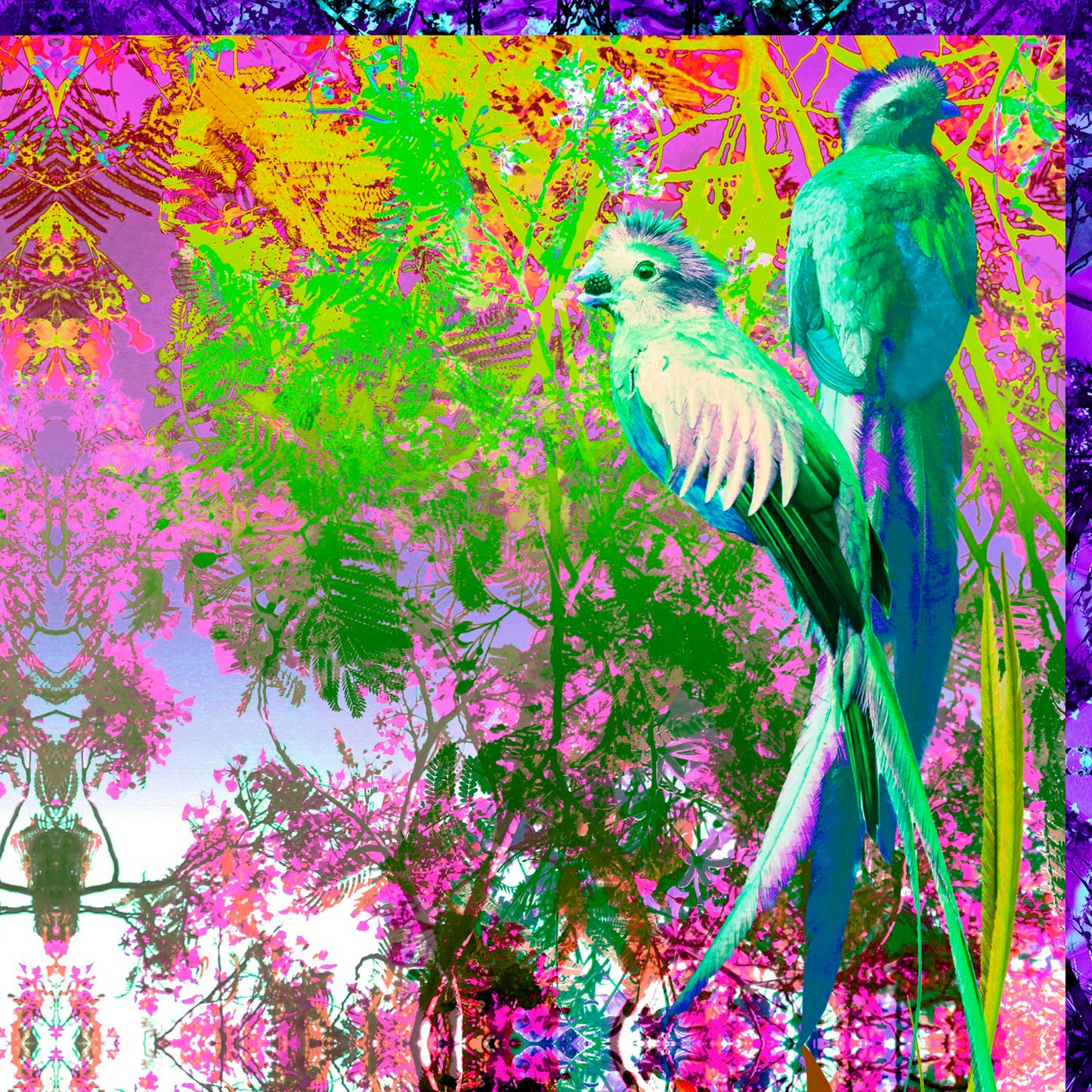 Quetzal doré